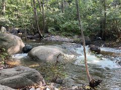 -云岫谷游猎自然风景区