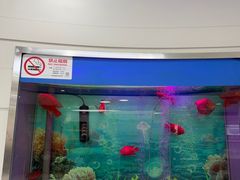 -雅悦齿科(顾村公园店)