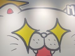 -废柴猫概念馆·桌游电玩卡牌(人广世茂店)