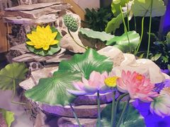 -蕃茄述·好汤自然来(江汉路店)