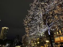 -红星桥(地铁站)