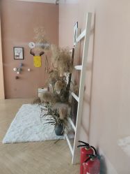 -爱儿美儿童摄影(奥森公园店)