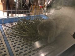 -雨林宠物医院 非犬猫异宠专科