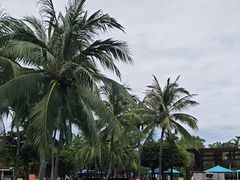 -三亚海棠湾万丽度假酒店