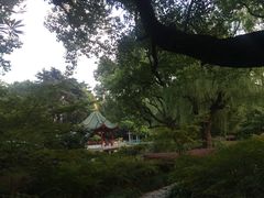 -申粤轩酒楼·三十年粤菜经典(丁香花园店)