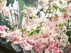 -深圳国际园林花卉博览园