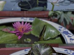 -上海滨江森林公园
