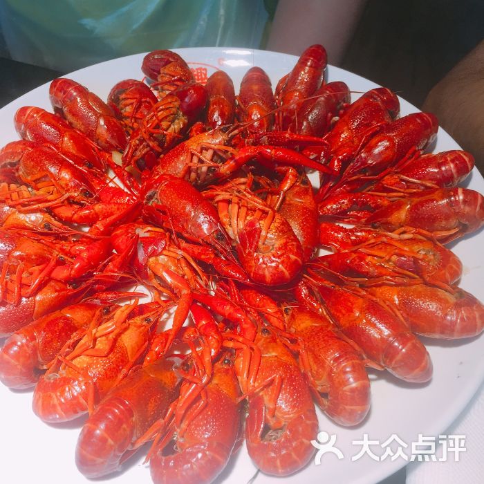 虾趣龙虾图片 - 第126张