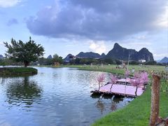 -南宁花花大世界景区