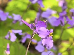 -同济大学-北苑食堂