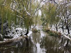 -杭州城北体育公园