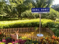 -香山公园