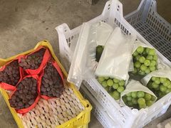 -马陆小张葡萄园农家乐