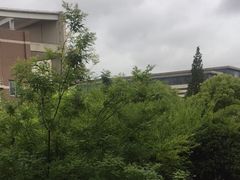 -上海市实验学校