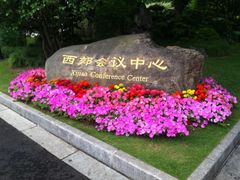 -西郊宾馆-地面停车场