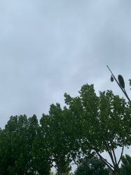 -HEYAN长风荷妍专业脱毛美肤
