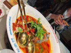 -坛宗剁椒鱼头(河西王府井店)