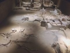 -洛阳周王城天子驾六博物馆