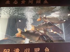 -阿五黄河大鲤鱼(英协路店)