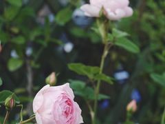 -美家乐农庄·露营·团建(大治路店)