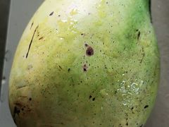 -张钰强中医正骨推拿连锁(唐家人才公寓店)