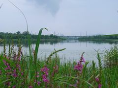 -门城湖公园