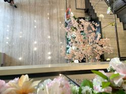 -四川米兰柏羽医学美容医院