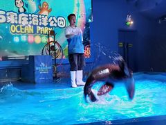 -石家庄海洋公园