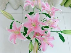 -豆豆花艺(新光天地店)