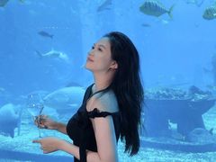 -亚特兰蒂斯•OSSIANO奥西亚诺海底餐厅