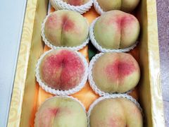 -田园东方蜜桃村的田野营地