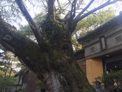 -无锡惠山寺