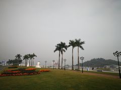 -野狸岛
