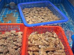 -鸽子侯·家宴·平价海鲜(市图书馆店)