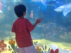 -烟台海昌鲸鲨海洋公园