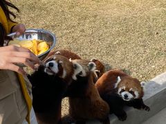 -水上乐园·欢乐世界