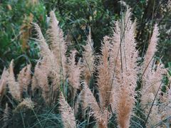 -木守西溪溪隐餐厅