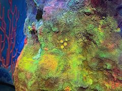 -沈阳海洋探索中心