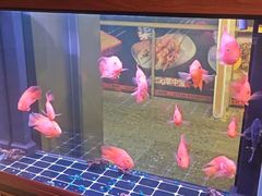 -火塘云南烧烤大排档