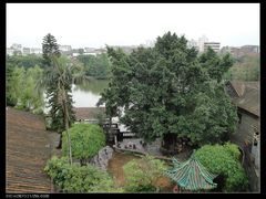 -东莞市可园博物馆