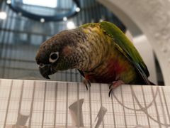 -思南书局·诗歌店