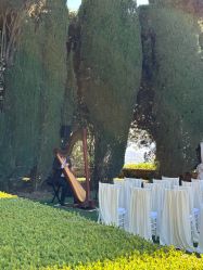 -北京燕尔婚礼策划