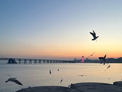 -大连星海广场音乐喷泉