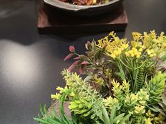 -新乾隆酒楼(帝景园店)