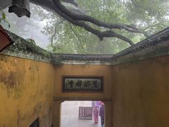 -普陀山风景区-佛顶山
