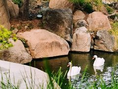 -罗红摄影艺术馆