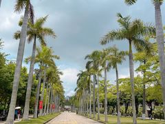 -厦门大学(思明校区)