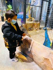 -酷嗒动物文化乐园(cutezoo西溪乐天城店)