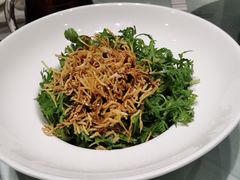 -沪碟·精菜坊(闵行店)