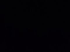 -鱼神·脆肉鲩 全鱼宴(西乡店)